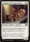 Product image for Paladine des Sanguinolents
