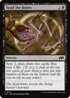 Product image for Read the Bones