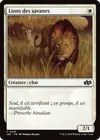 Product image for Lions des savanes