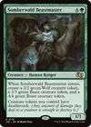 Product image for Somberwald Beastmaster