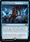 Product image for Enlevé par les faes