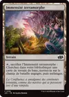 Product image for Immensité terramorphe
