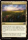 Product image for Thriving Heath