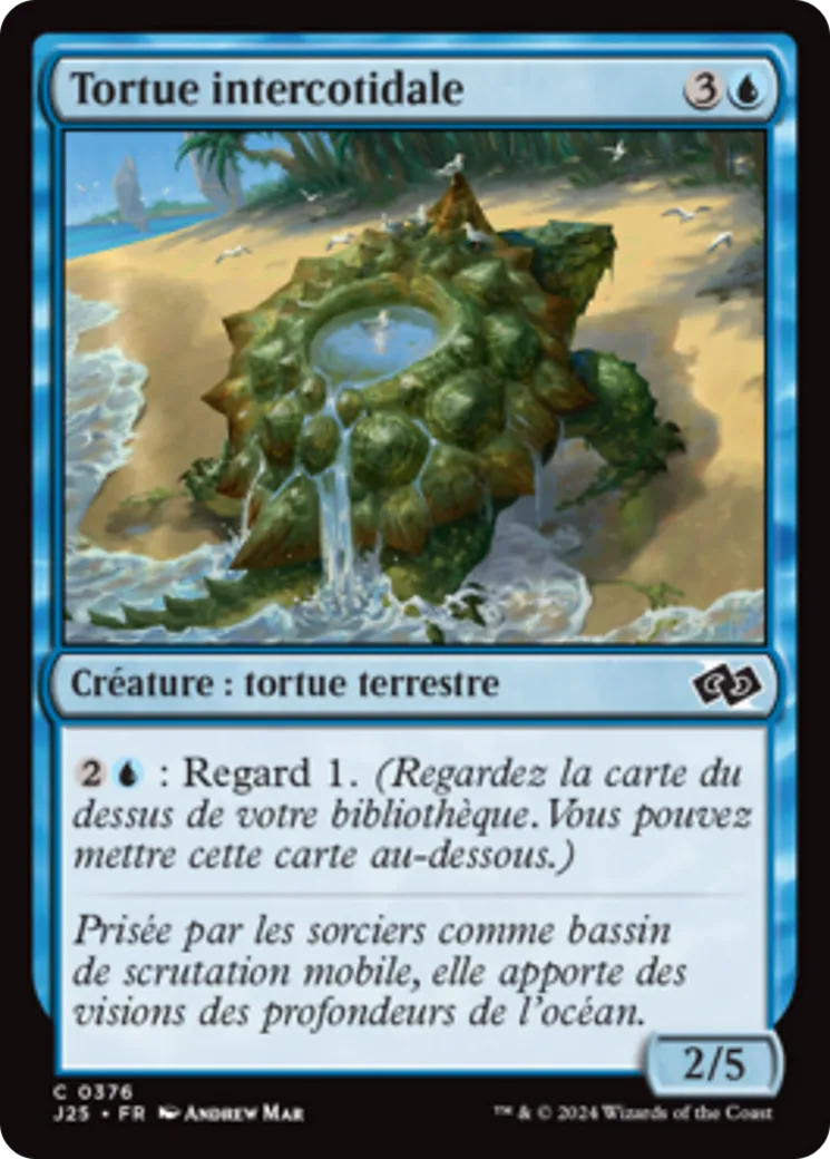 Tortue intercotidale — Foundations Jumpstart — Magic: The Gathering