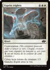 Product image for Esprits triplets