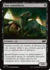 Product image for Rats typhoïdiens