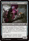 Product image for Fouineur des tréfonds