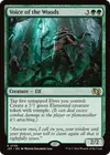 Product image for Voice of the Woods