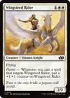 Product image for Wingsteed Rider