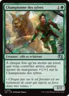 Product image for Championne des sylves