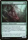 Product image for Druide éveilleur