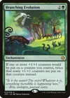 Product image for Branching Evolution