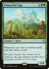 Product image for Primordial Sage
