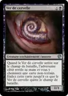 Product image for Ver de cervelle