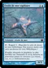 Product image for Étoile de mer sigillaire