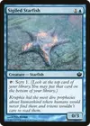 Product image for Sigiled Starfish