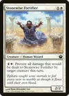 Product image for Stonewise Fortifier