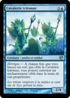Product image for Cavalerie tritonne
