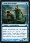 Product image for Triton Shorestalker