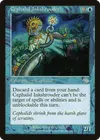 Product image for Cephalid Inkshrouder