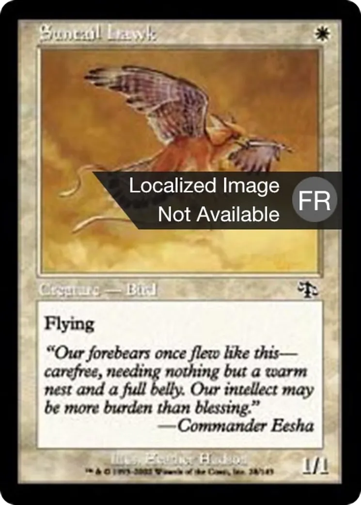 Faucon mordoré — Judgment — Magic: The Gathering