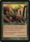 Product image for Sylvan Safekeeper