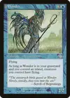 Product image for Wonder