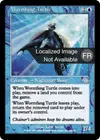 Product image for Tortue asticroc