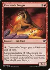 Product image for Couguar cendredent