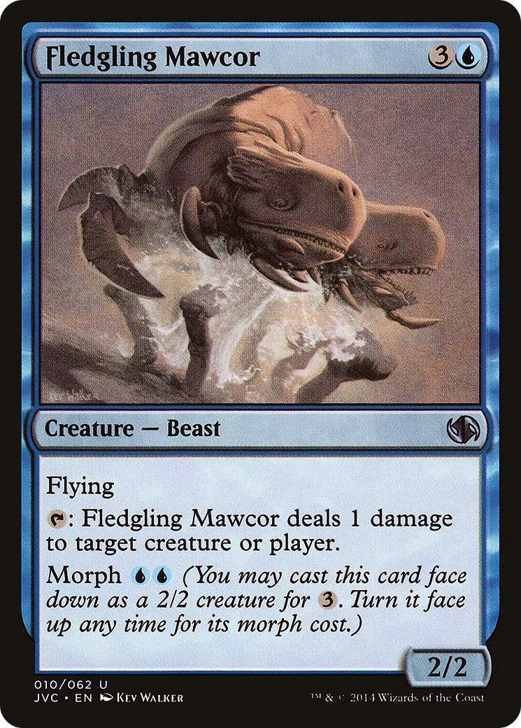 Corgueule juvénile — Duel Decks Anthology: Jace vs. Chandra — Magic: The Gathering