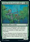 Product image for Archers de la Cicatrice zébrée
