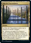 Product image for Voie de l'Ascendance