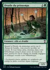 Product image for Druide du printemps