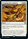 Product image for Troupeau des tempêtes
