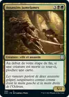 Product image for Assassins jumelames