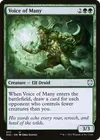 Product image for Voice of Many