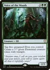 Product image for Voice of the Woods