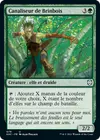Product image for Canaliseur de Brinbois