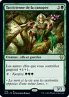 Product image for Tacticienne de la canopée