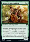 Product image for Mentor Feuille-ancêtre