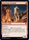 Product image for Louveteau intrépide