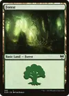 Product image for Forest