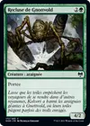 Product image for Recluse de Gnottvold