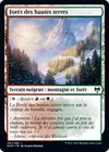 Product image for Forêt des hautes terres