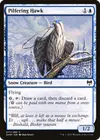Product image for Pilfering Hawk