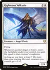 Product image for Righteous Valkyrie