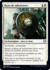 Product image for Rune de subsistance