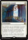 Product image for Autorité des consuls