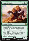 Product image for Hydre hérissée