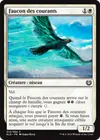 Product image for Faucon des courants